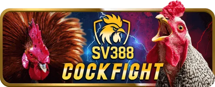 Hoàn trả thể thao win55